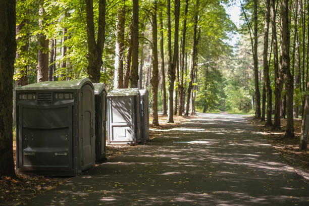 Best Luxury portable toilet rental  in Northfield, MN